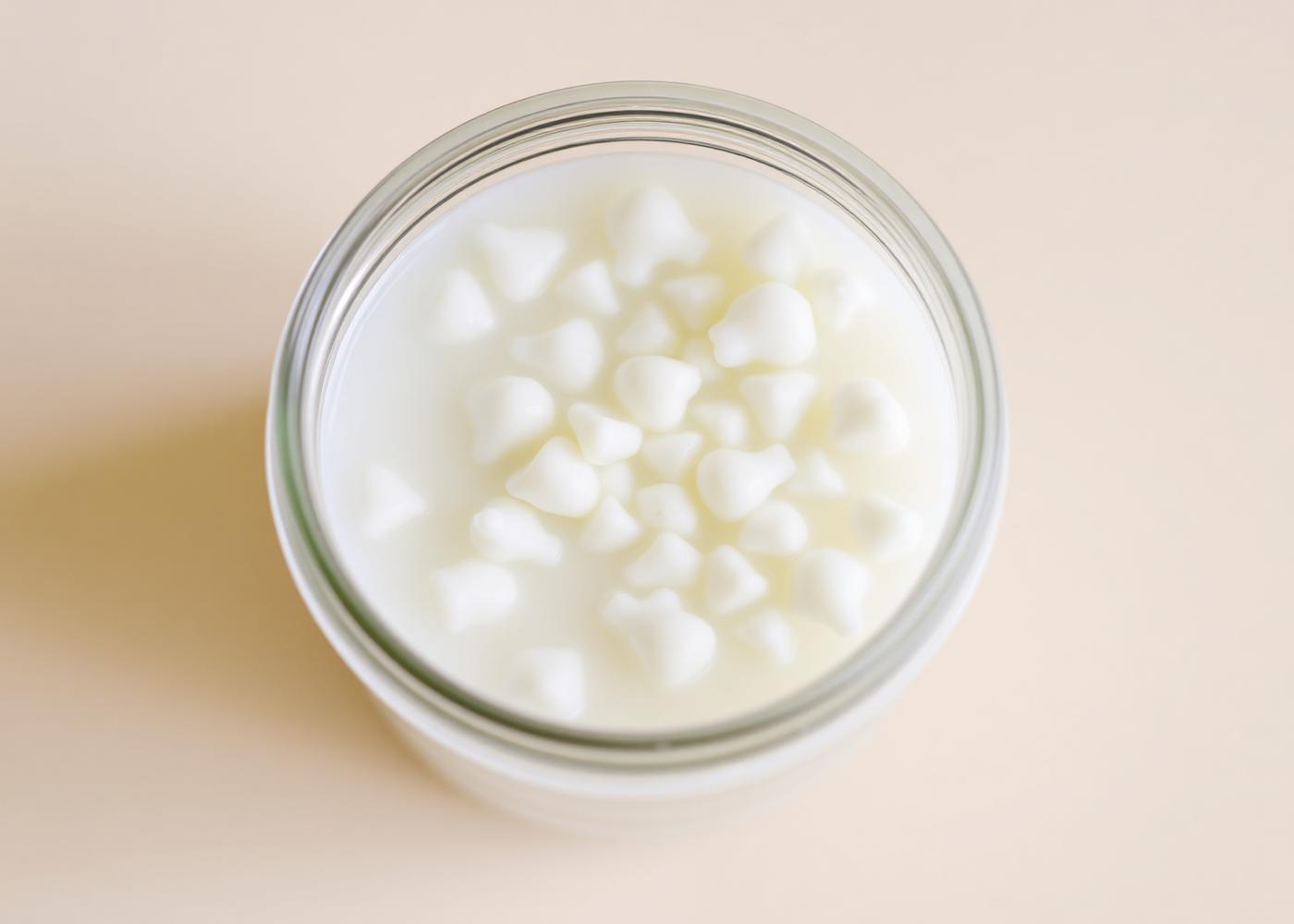 Live kefir grains in milk